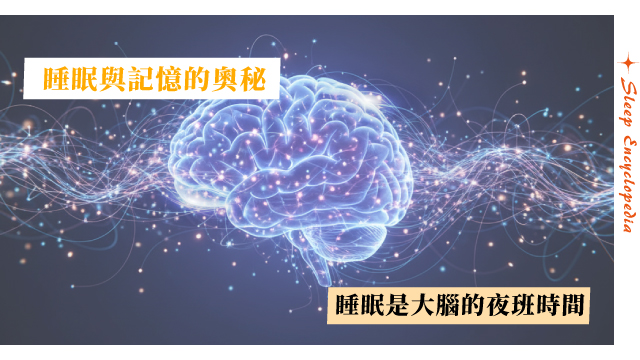 睡眠與記憶：大腦如何在夜晚進行資料整理